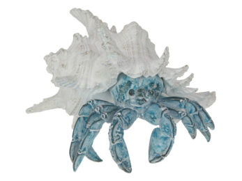CRAB IN SHELL