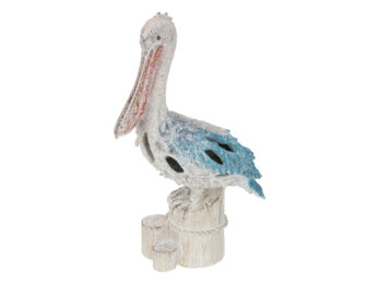 STANDING PELICAN ON LOG