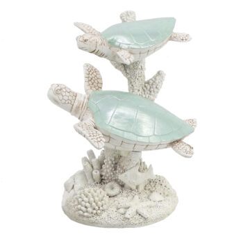 AQUA TURTLES ON CORAL
