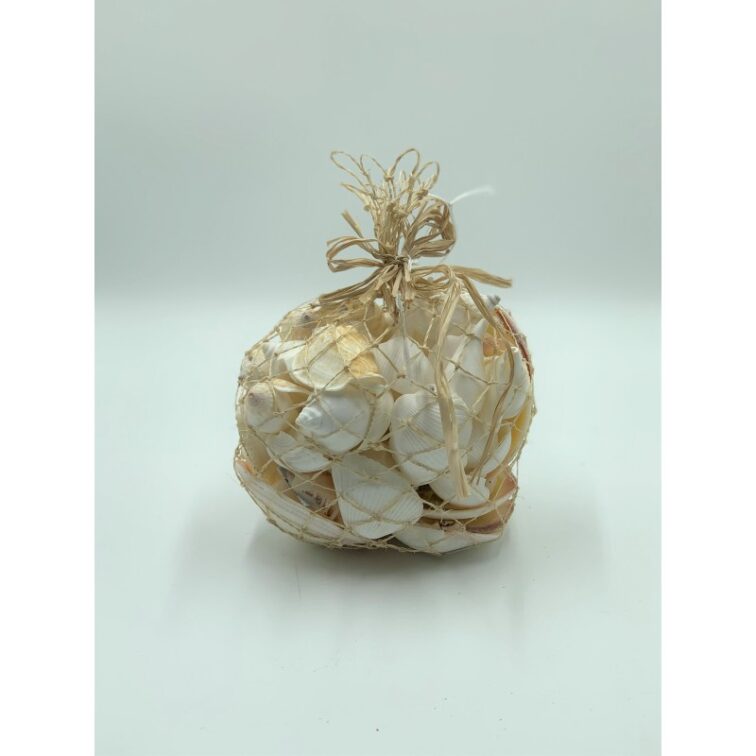 WHITE SHELLS IN BAG