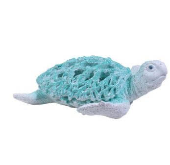 AQUA TURTLE