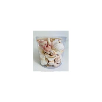 CYLINDER OF SHELLS