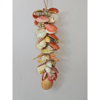 SHELL CLUSTER ORANGE