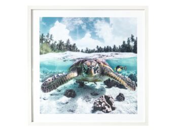 TURTLE IN SEA ARTWORK