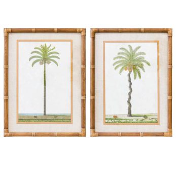 PALM FRAMED PRINTS