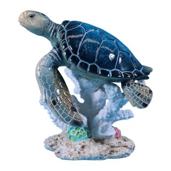 TURTLE ON CORAL